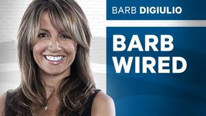 barb wired digiulio