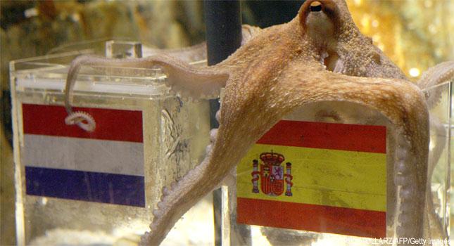 Paul the 'psychic' octopus wins again in World Cup final