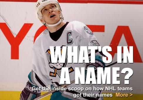 all nhl hockey team names