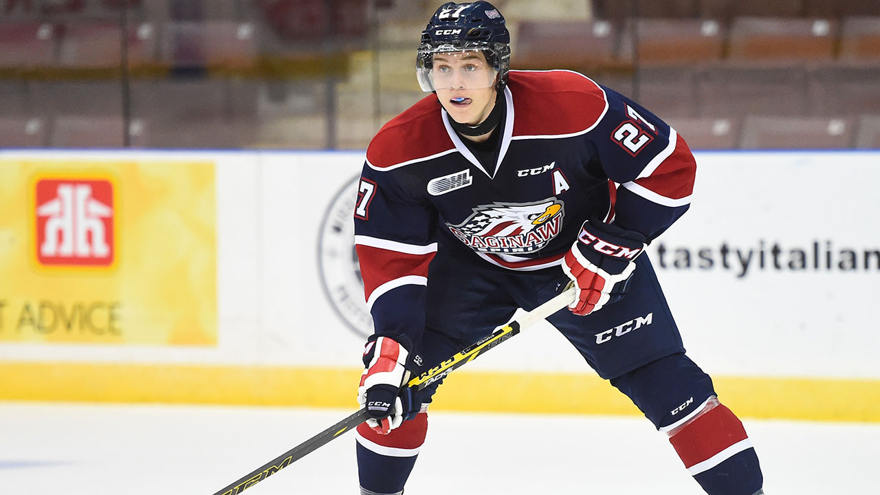 Stephens scores 4 goals as Spirit rout Ice Dogs