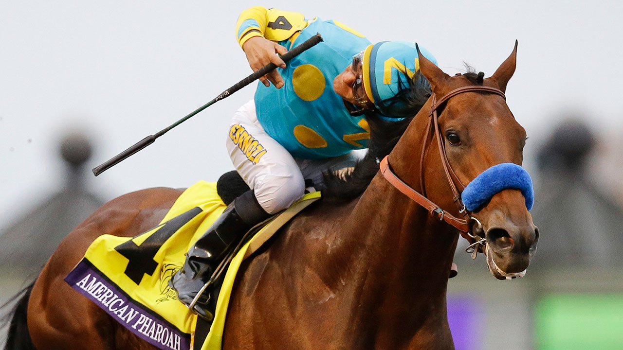 American Pharoah wins Breeders’ Cup Classic