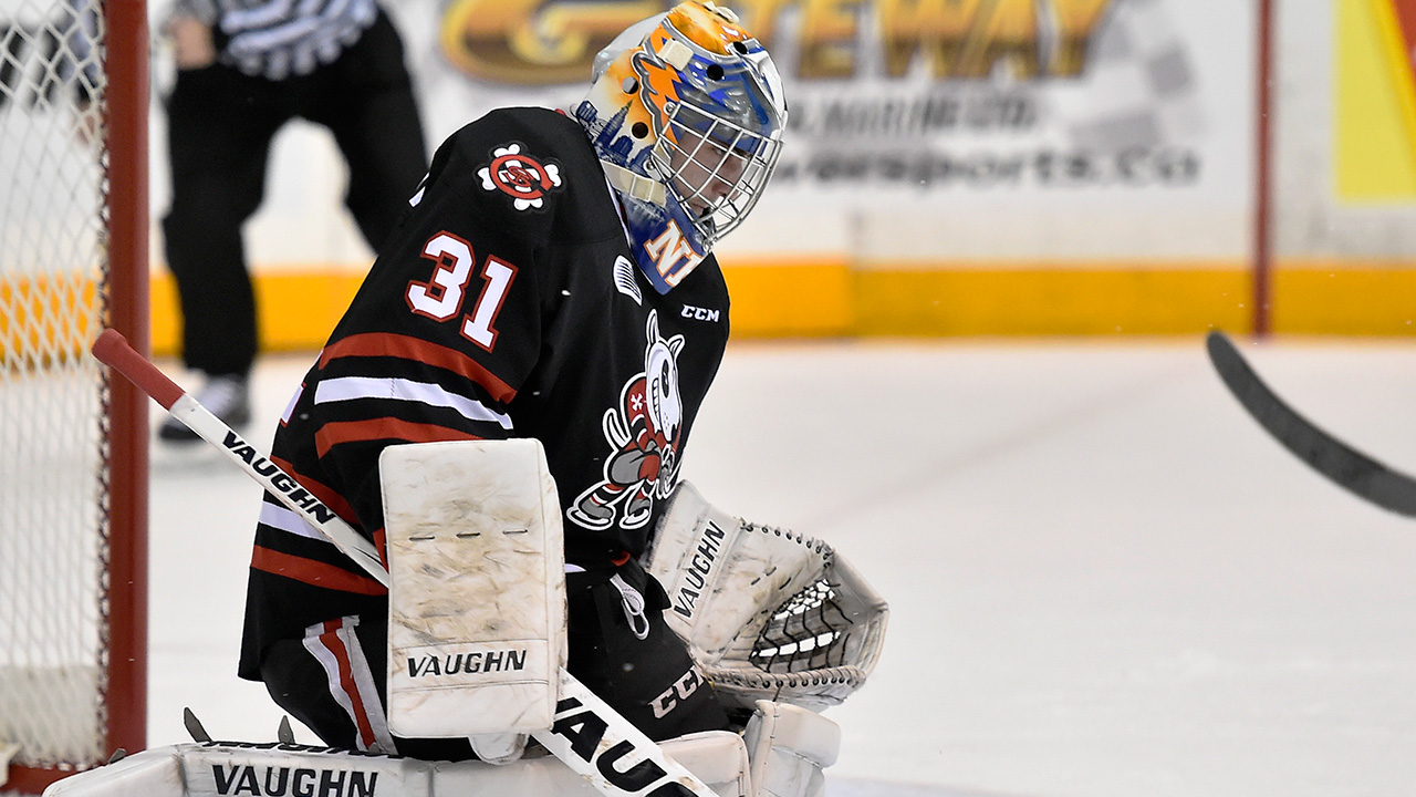 Alex-Nedeljkovic;-OHL;-CHL;-Niagara-IceDogs;-Flint-Firebirds;-Carolina-Hurricanes;-2014-NHL-Draft;-IIHF-World-Junior-Championship