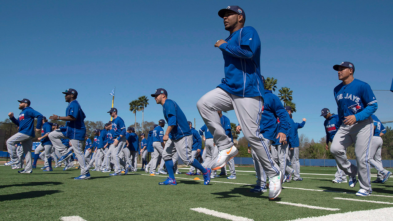 AstroTurf Has Been with The Toronto Blue Jays Every Step of the Way This  Season - AstroTurf