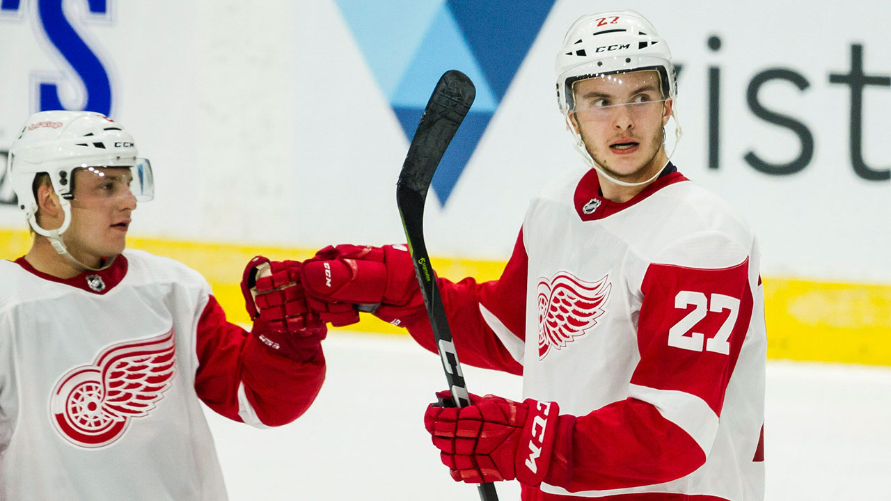 Detroit Red Wings centre Michael Rasmussen (27) celebrates after a goal against the Toronto Maple Leafs. (Christopher Katsarov/CP)