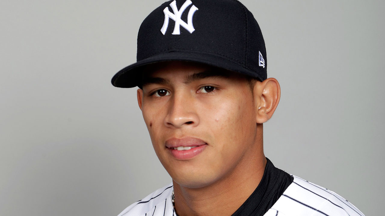 Yankees injury updates: Jonathan Loaisiga, Domingo German take big