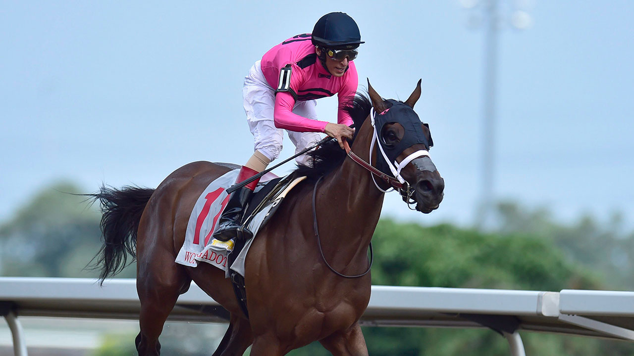 Wonder Gadot wins Prince of Wales Stakes at Fort Erie Racetrack