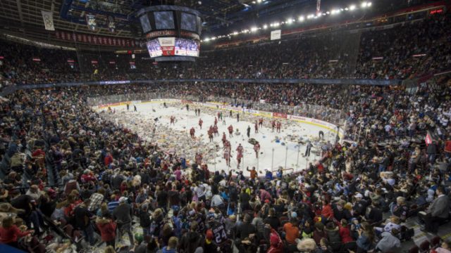 teddy bear toss 2018