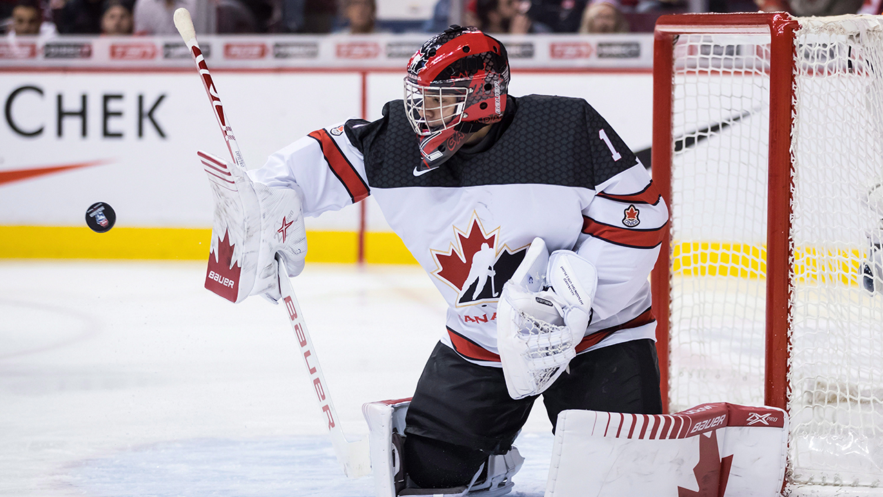 NICK SUZUKI 2018 CANADA RUSSIA SERIES GAME WORN JERSEY