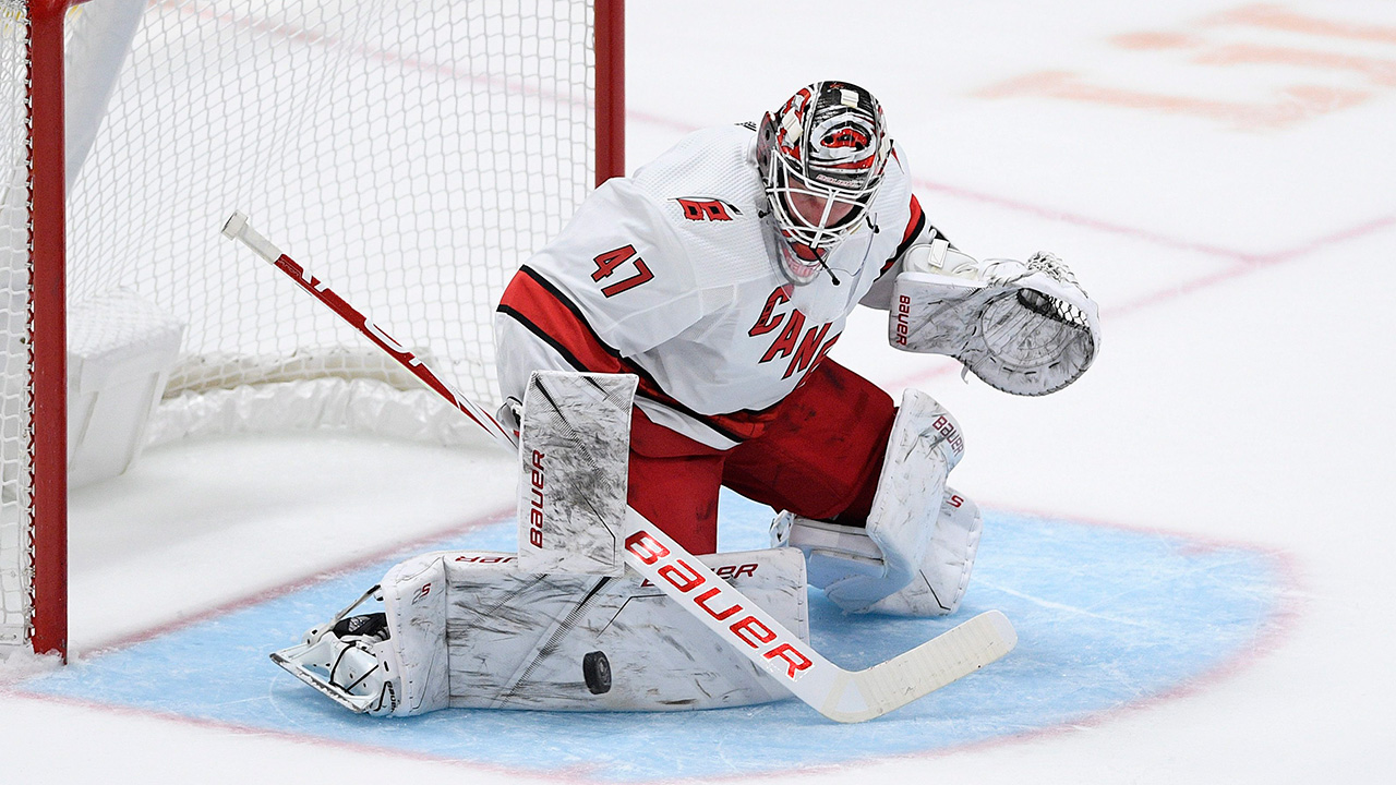 reimer nhl goalie