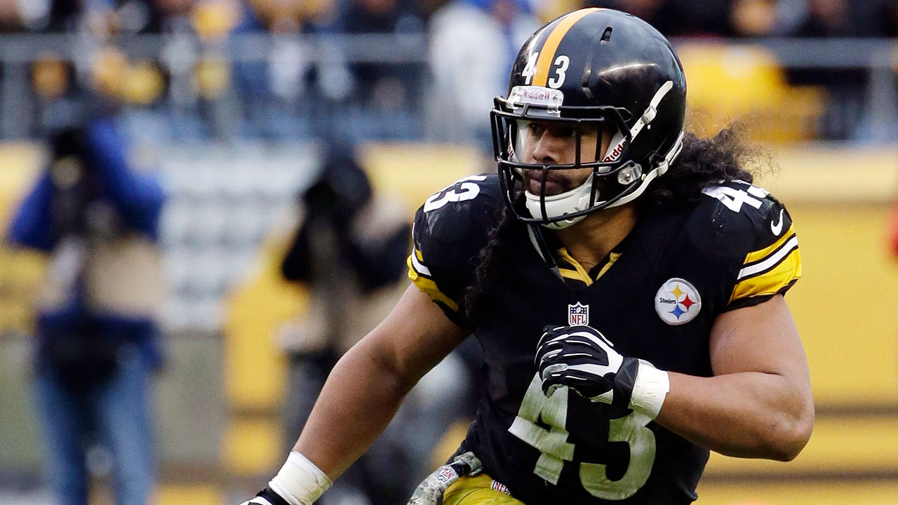 Troy Polamalu, Alan Faneca and Hines Ward among Pro Football Hall