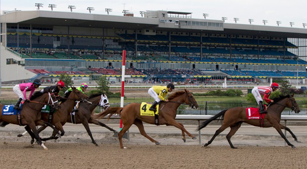 Woodbine among organizations that want to legalize historical horse racing - Sportsnet.ca