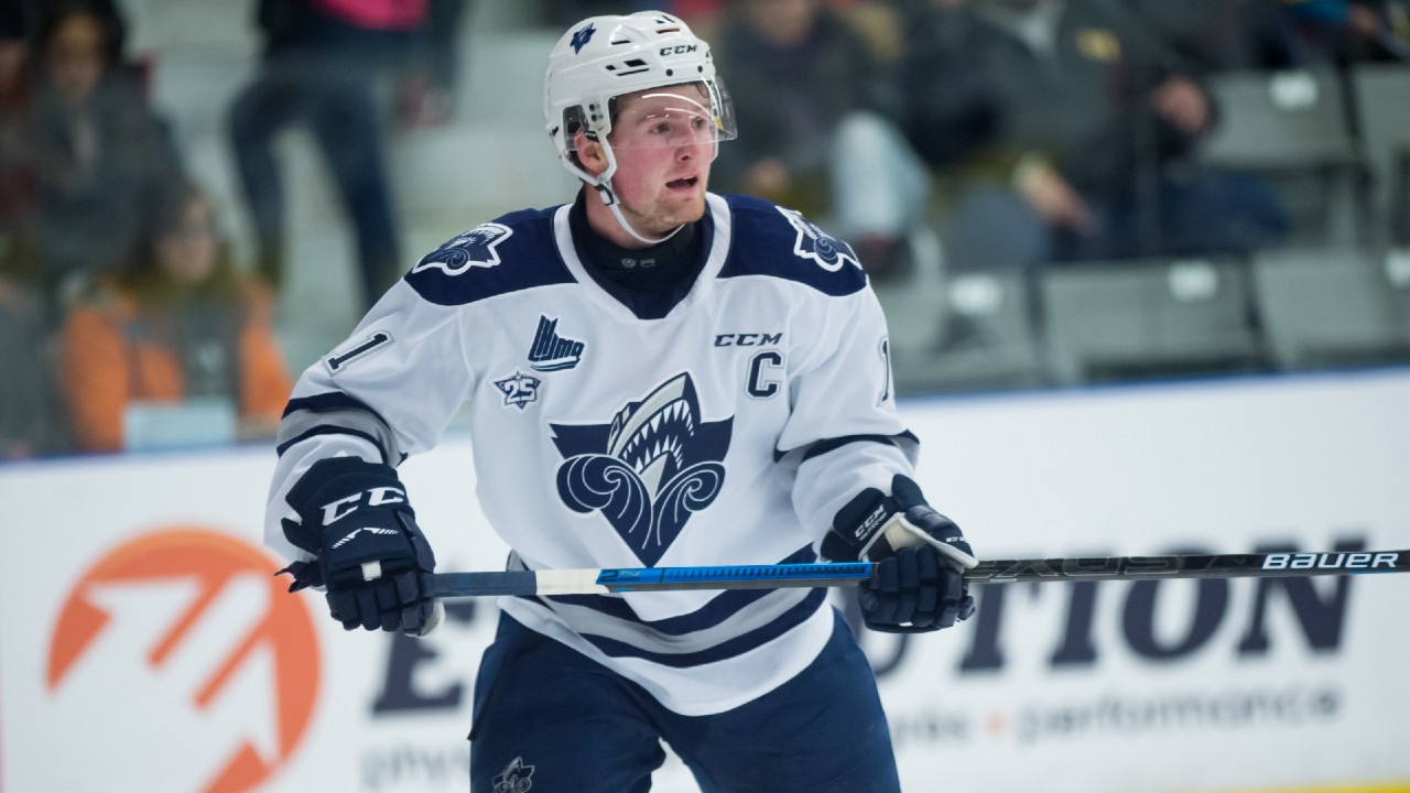 Kaiden Guhle: 2020 NHL Draft Prospect Profile; A Two-Way Defenseman With  Size, Speed, and Excellent Gap Control - All About The Jersey