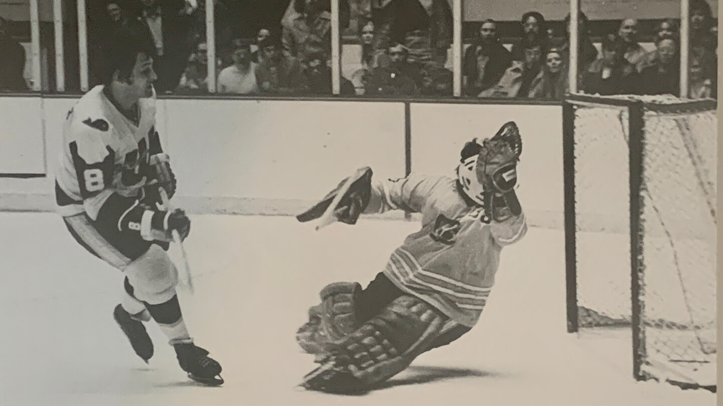 Seals, Stars, WHA and goalies - The Compleat