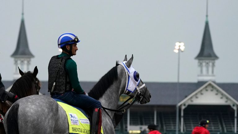 Kentucky Derby entrant Essential Quality waits to work out at Churchill Downs Thursday, April 29, 2021, in Louisville, Ky. The 147th running of the Kentucky Derby is scheduled for Saturday, May 1. (AP Photo/Charlie Riedel)