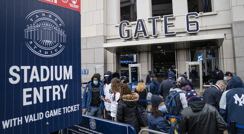 The Joy of Being a Baseball Fan