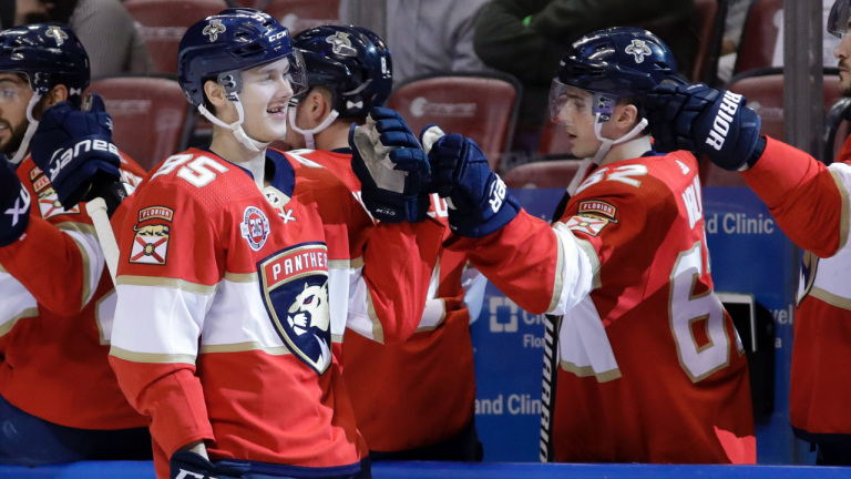 Florida Panthers center Henrik Borgstrom (95) is congratulated by center Denis Malgin after scoring a goal against the St. Louis Blues during the first period of an NHL hockey game, Tuesday, Feb. 5, 2019, in Sunrise, Fla. (Lynne Sladky / AP)