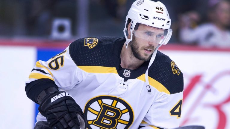 NHL profile photo on Boston Bruins player David Krejci, from Czech Republic, at a game against the Calgary Flames. (Larry MacDougal/CP)