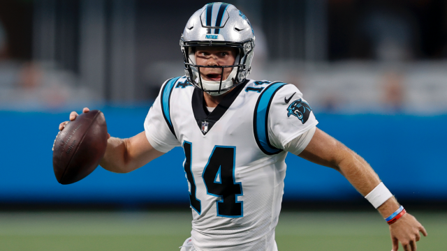 Panthers rout Steelers backups 34-9 to conclude preseason