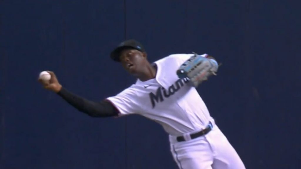 Thoroughly embracing the moment, this White Sox fan barehanded a