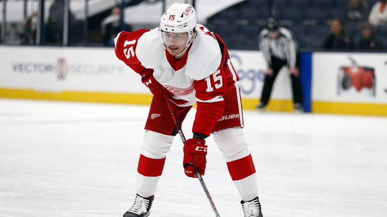 Detroit Red Wings forward Jakub Vrana is seen during an NHL hockey game against the Columbus Blue Jackets. (Paul Vernon/AP)