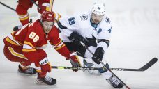 Sharks&#8217; Hertl suspended two games for high-sticking Flames&#8217; Lindholm