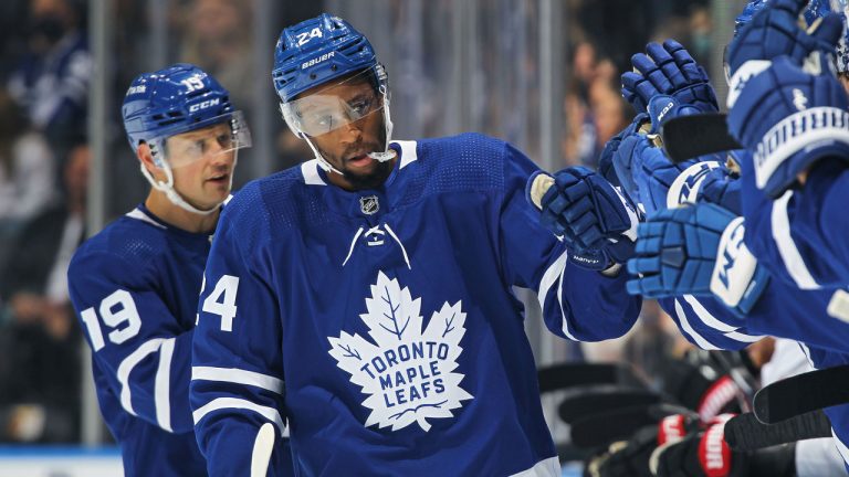 Wayne Simmonds #24 of the Toronto Maple Leafs celebrates a goal against the Ottawa Senators. (Claus Andersen/Getty Images)