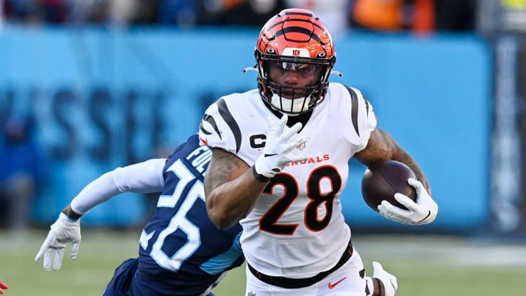 Cincinnati Bengals running back Joe Mixon (28). (Mark Zaleski/AP) 