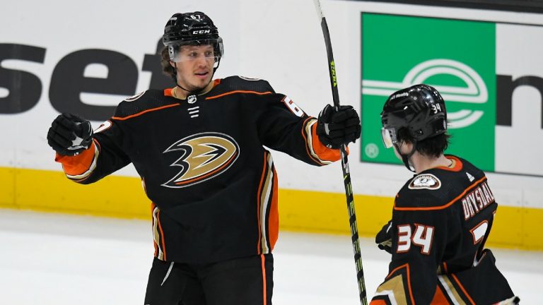 Anaheim Ducks left wing Rickard Rakell (67). (John McCoy/AP)