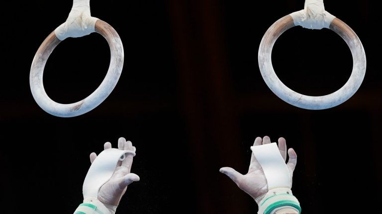 The rings at a gymnastics venue. (AP Photo)