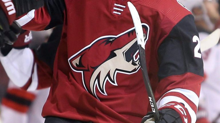 The Arizona Coyotes are trying to build the club a new home. (Ralph Freso/AP)