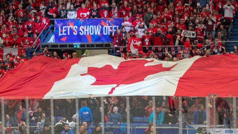 The Canadian flag. (Ryan Remiorz/CP)