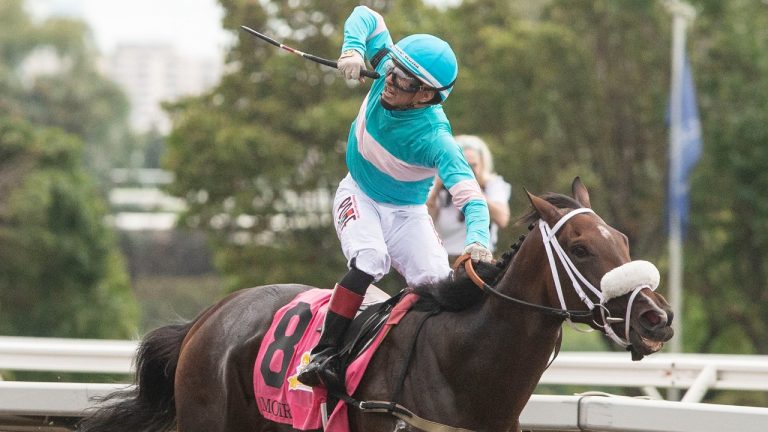 Jockey Rafael Hernandez celebrates as he rides Moira over the finish line to win the 163rd running of the $1-million Queen's Plate in Toronto on Sunday, August 21, 2022. (Chris Young/CP)