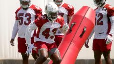 Cardinals sign Canadian LB Jesse Luketa to active roster