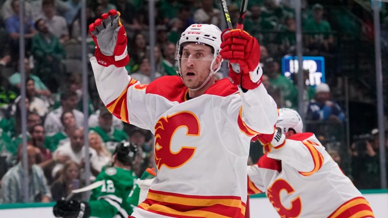 Calgary Flames defenceman Michael Stone. (Tony Gutierrez/AP)