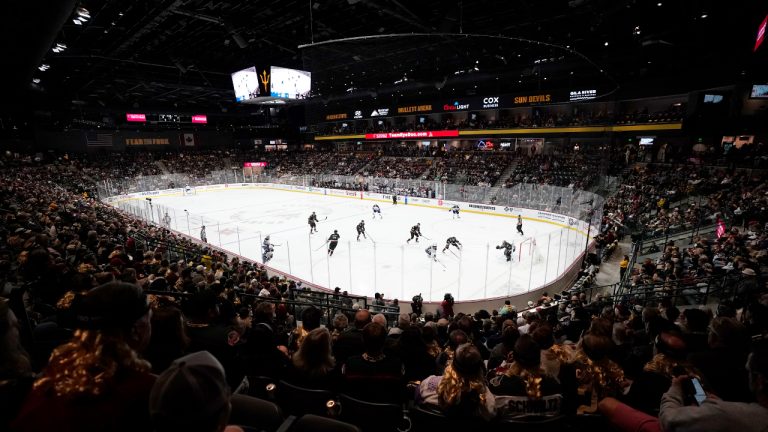 Fans watch the Arizona Coyotes and the Winnipeg Jets during the second period of an NHL hockey game at Mullett Arena in Tempe, Ariz., Friday, Oct. 28, 2022. (AP Photo/Ross D. Franklin)