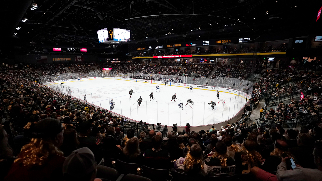 Coyotes take to the ice rocking incredible Diamondbacks hockey