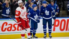 Maple Leafs sting Red Wings in pre-season finale