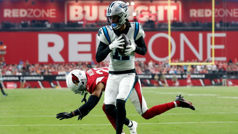 Carolina Panthers wide receiver Robby Anderson makes a touchdown catch as he beats Arizona Cardinals cornerback Marco Wilson, left, during the first half of an NFL football game. (Ralph Freso/AP)