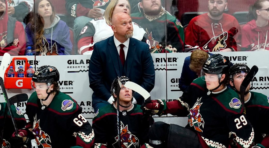 Arizona Coyotes Alternate Uniform - National Hockey League (NHL