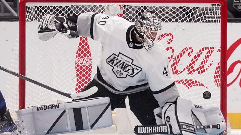 Los Angeles Kings goaltender Cal Petersen. (Mark J. Terrill/AP)