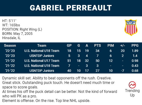 2023 NHL Draft prospect profile: Gabe Perreault has enough potential to  become best in the family - Habs Eyes on the Prize