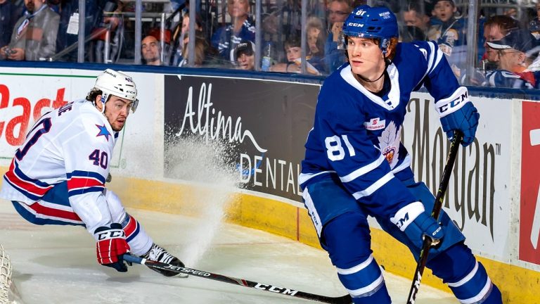 Toronto Maple Leafs prospect Mac Hollowell. (Photo courtesy: Toronto Marlies)