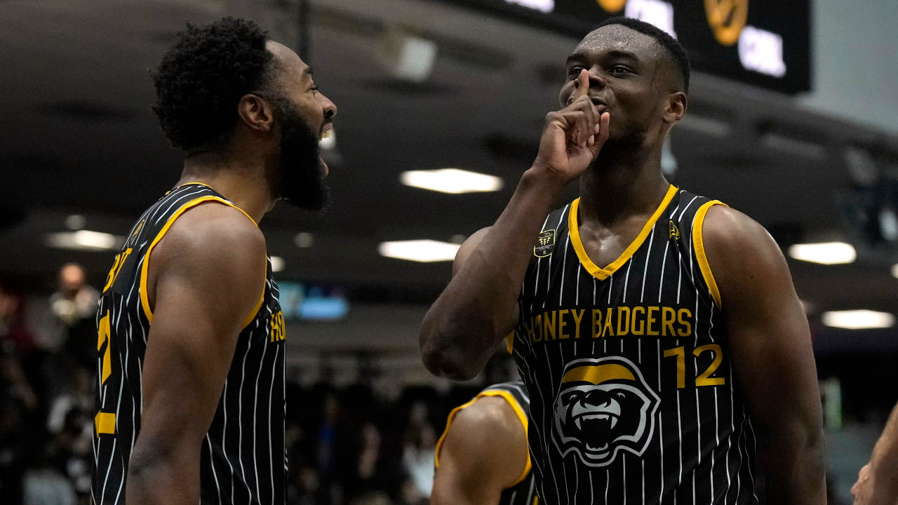 Edmonton Stingers are in the Basketball Champions League Americas