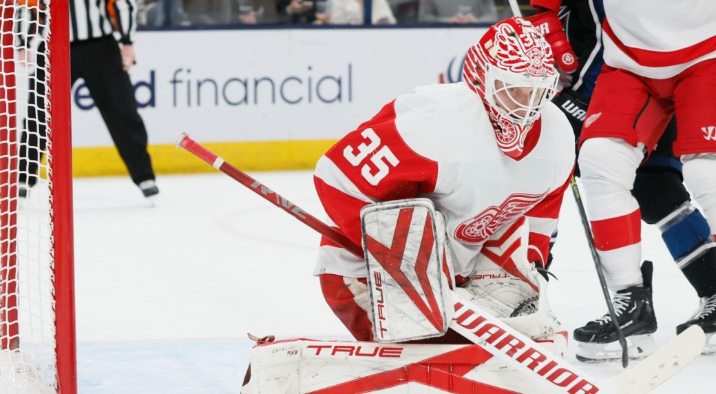 Filip Hronek's two goals help Red Wings sail past Blue Jackets - The Rink  Live