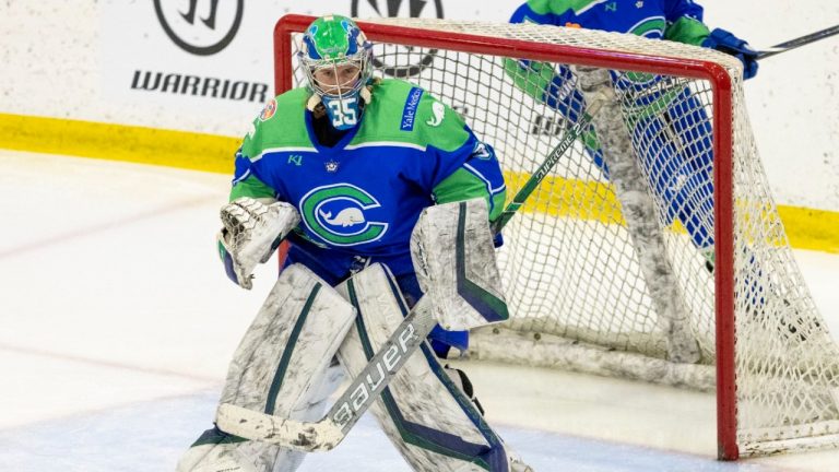 Connecticut Whale goaltender Abbie Ives. (Arielle Bader/Tampa Bay Times via AP)