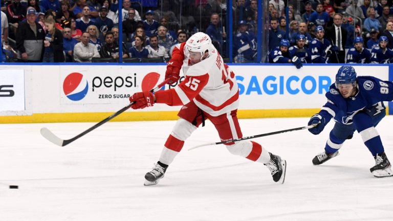 Detroit Red Wings left wing Jakub Vrana (15) scores during the third period an NHL hockey game against the Tampa Bay Lightning Tuesday, April 19, 2022, in Tampa, Fla. (Jason Behnken/AP)