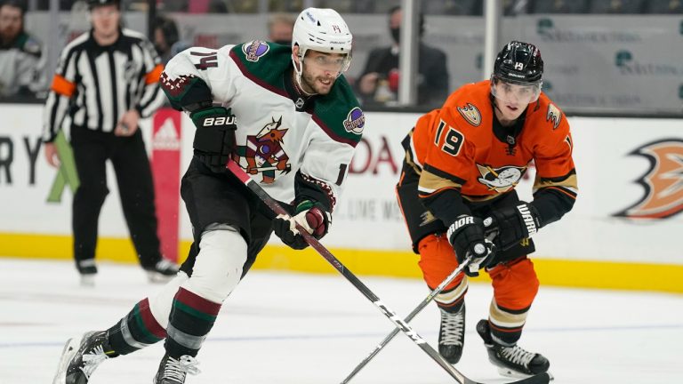 Arizona Coyotes defenceman Shayne Gostisbehere (14) controls the puck ahead of Anaheim Ducks right wing Troy Terry (19) during the first period of an NHL hockey game. (Ashley Landis/AP)