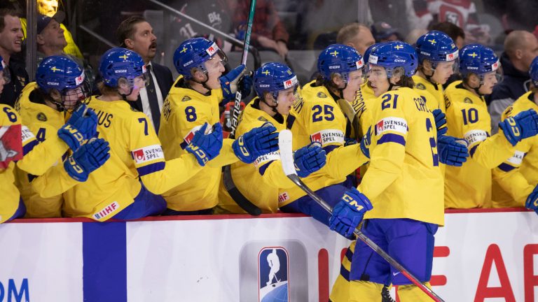 Sweden's Leo Carlsson celebrates after scoring Sweden's first goal against Finland during first period IIHF World Junior Hockey Championship. (Ron Ward/CP)