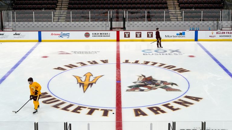 Mullett Arena, home of the Arizona Coyotes. (Ross D. Franklin)