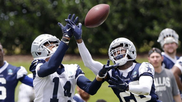 The Saskatchewan Roughriders have signed American defensive back Robinson to a contract. (Michael Ainsworth/AP)
